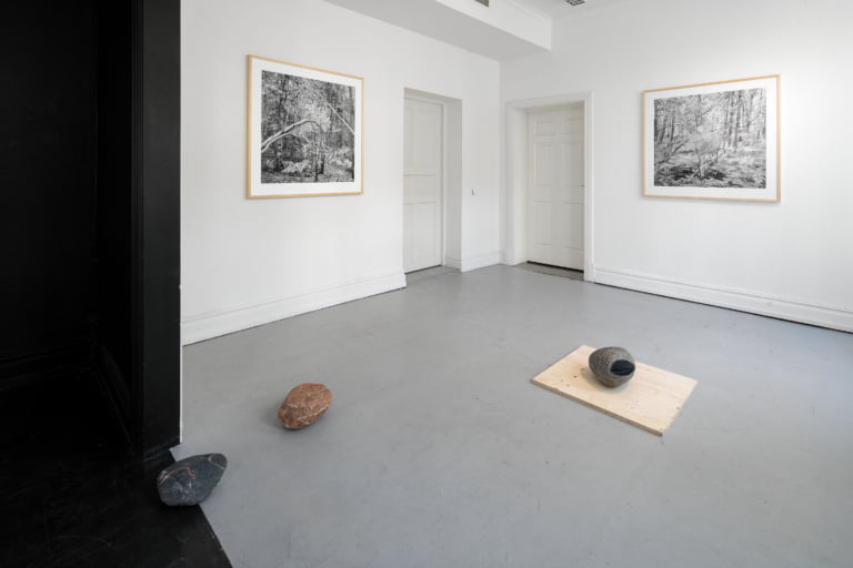 Det som inte är / That Which is Not