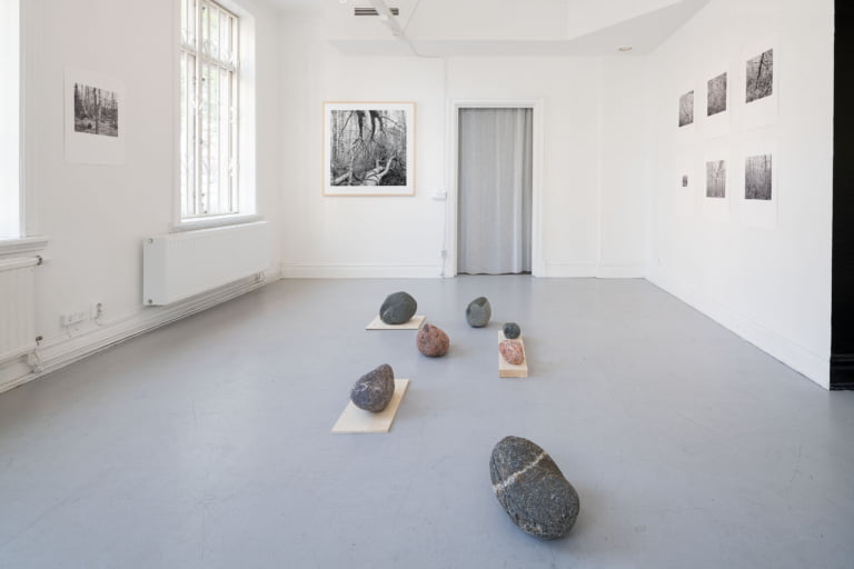 Det som inte är / That Which is Not