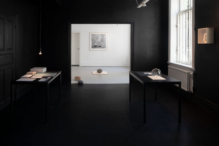 Det som inte är / That Which is Not