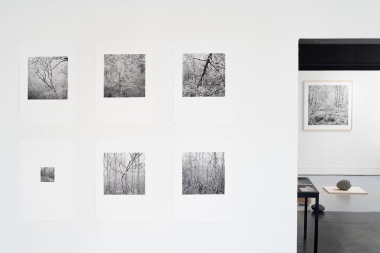 Det som inte är / That Which is Not