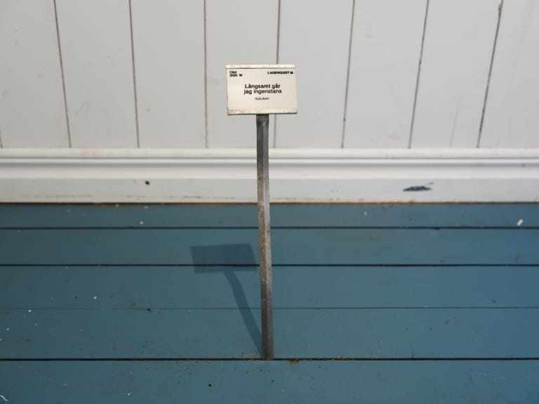 Långsamt går jag ingenstans / Slowly I go Nowhere