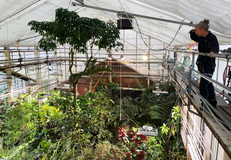 Looking for my ateljé