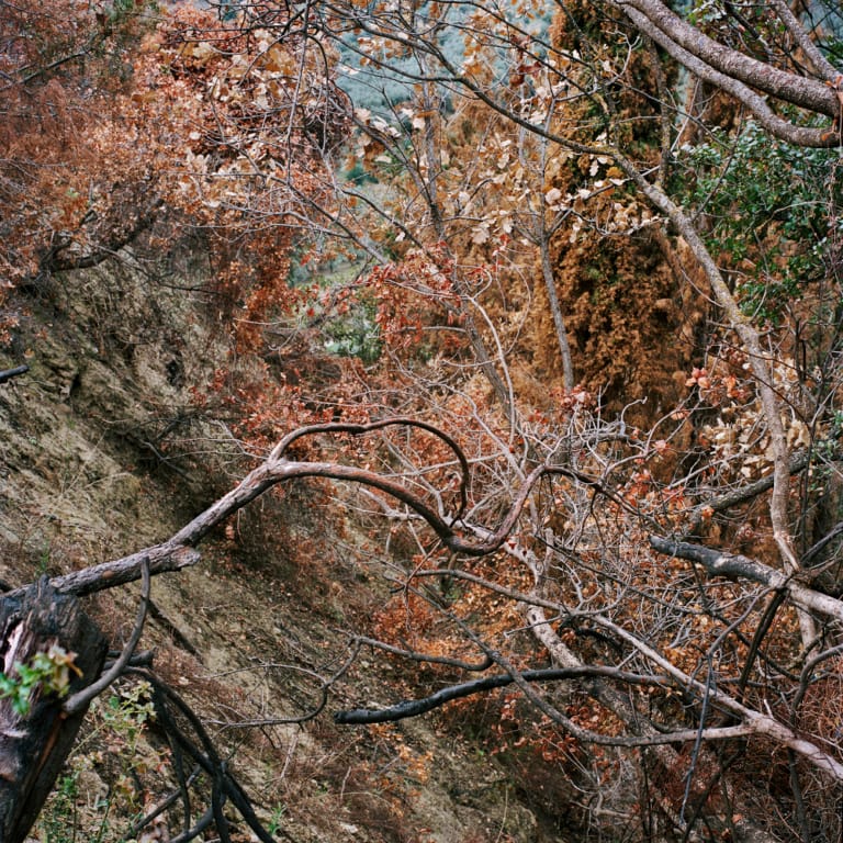 TEXTUR – vävda ytor och indexikala moment