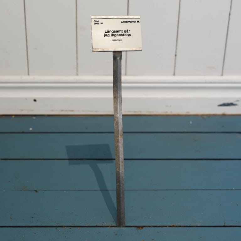 Långsamt går jag ingenstans / Slowly I go Nowhere