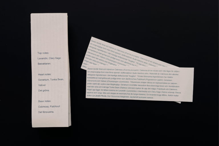 Det som inte är / That Which is Not